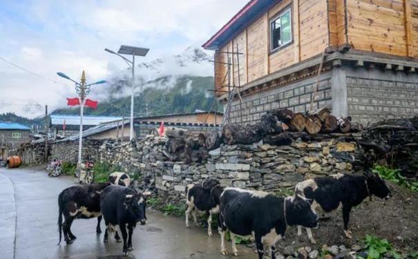 昆明公布旅游业违规情况旅游企业