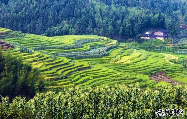 周末游 | 一路向南，赴一场名山览胜之旅！