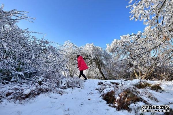 就在广元过年！这些春节旅游新玩法，给你安排