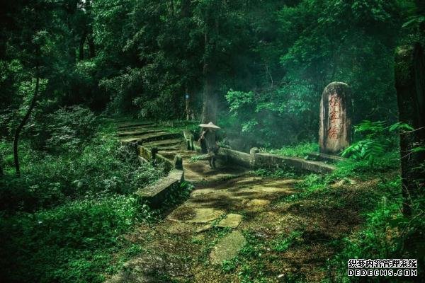 就在广元过年！这些春节旅游新玩法，给你安排