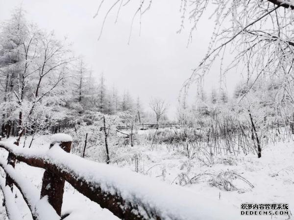 就在广元过年！这些春节旅游新玩法，给你安排