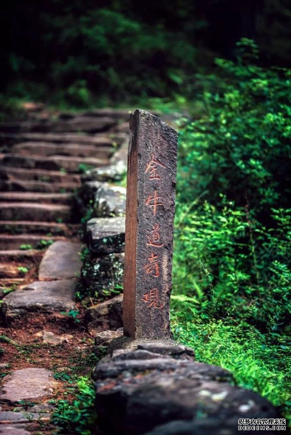 就在广元过年！这些春节旅游新玩法，给你安排