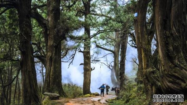 就在广元过年！这些春节旅游新玩法，给你安排