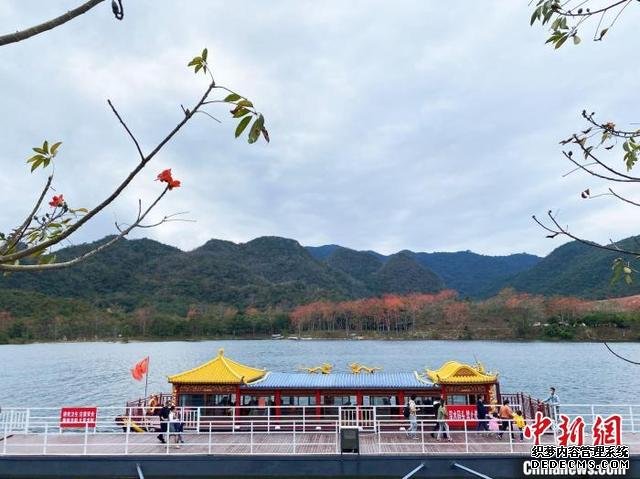 海南：特色“旅游+”产品搅热旅游市场 春节假期