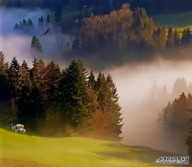 分享图片——田园风光美景