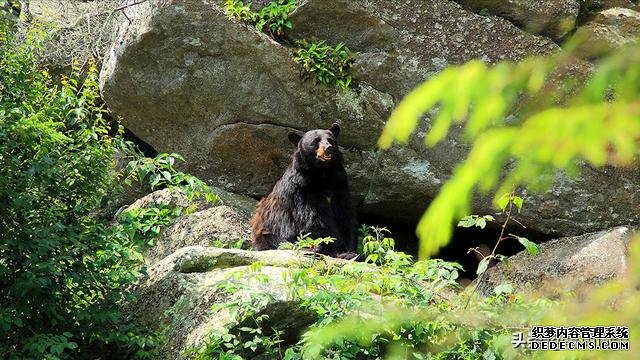 徒步、登山、穿越、探险、露营等户外活动的3