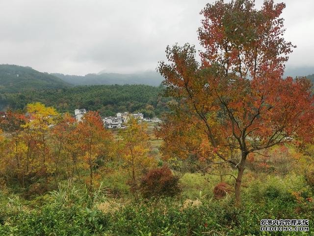 黄山跟团休闲游