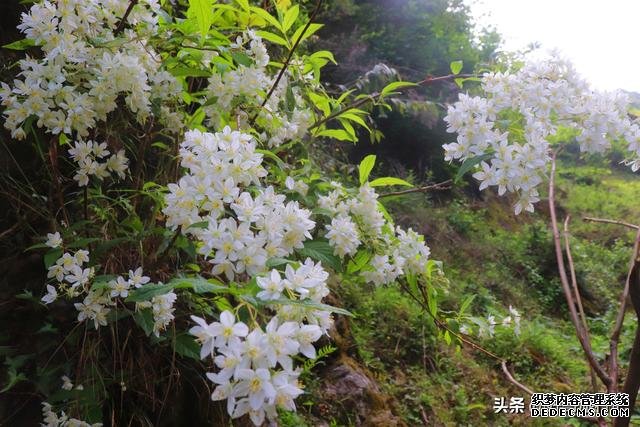 陕西这个县地处秦岭，山野间人少景美，徒步、