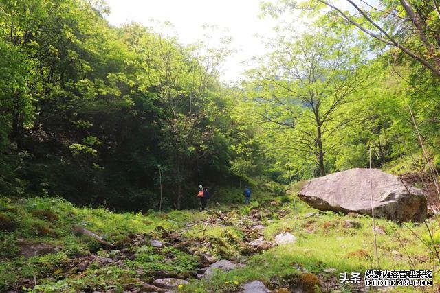 陕西这个县地处秦岭，山野间人少景美，徒步、