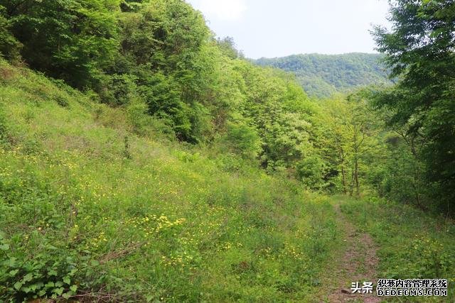 陕西这个县地处秦岭，山野间人少景美，徒步、