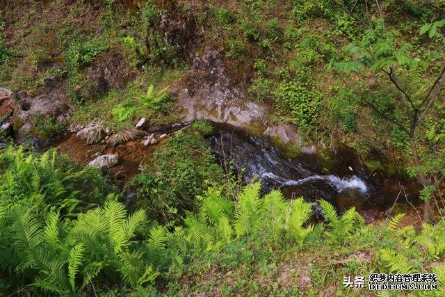 陕西这个县地处秦岭，山野间人少景美，徒步、