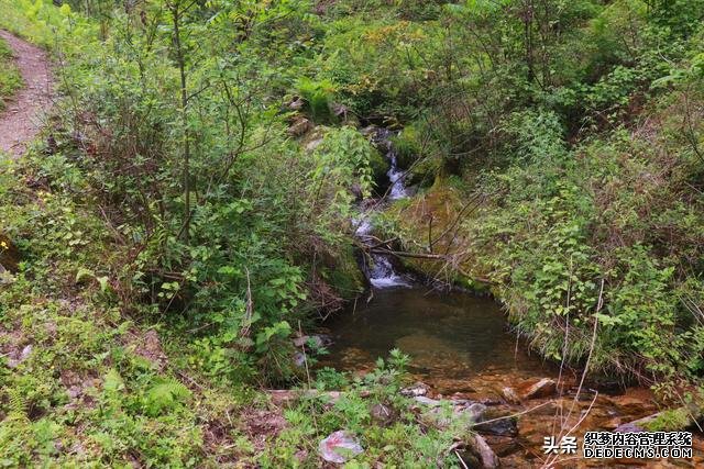 陕西这个县地处秦岭，山野间人少景美，徒步、